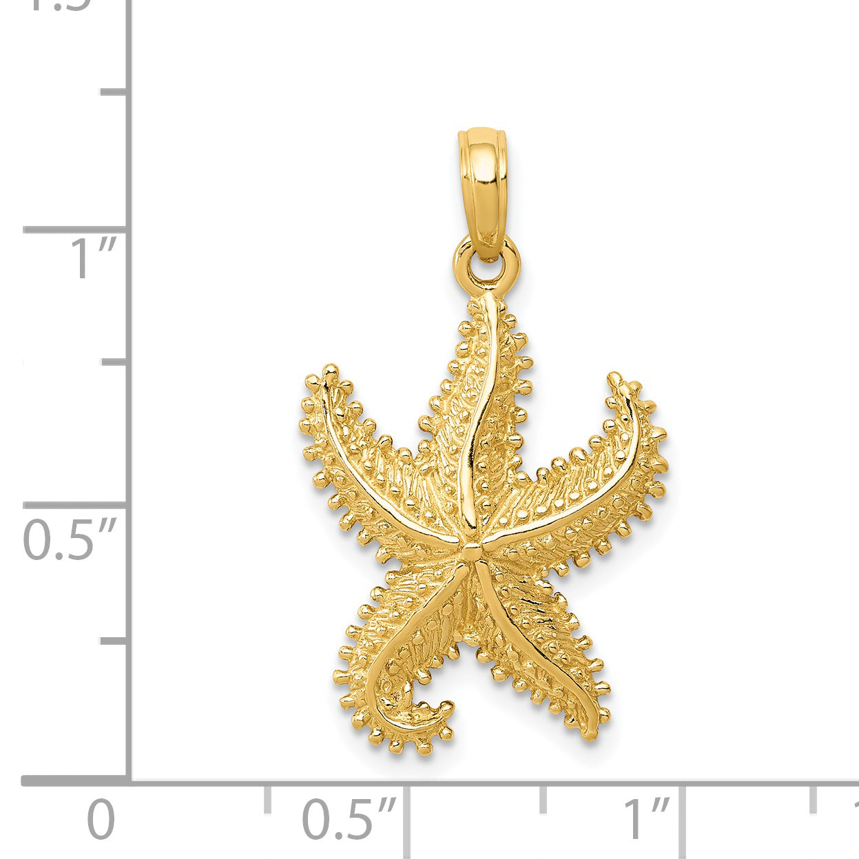 C2537