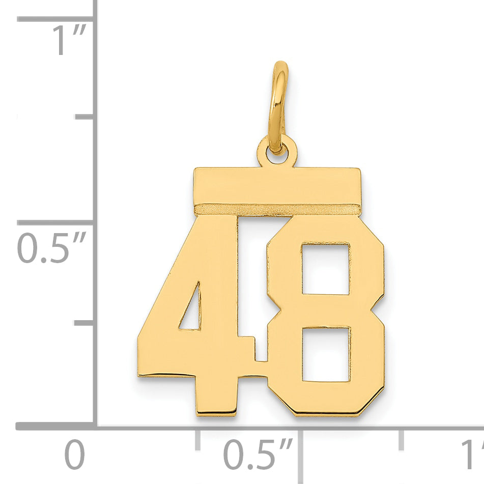 LS48