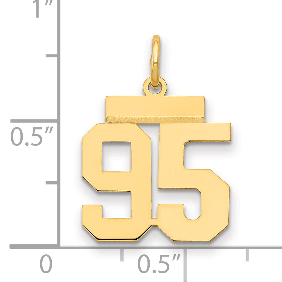 LS95
