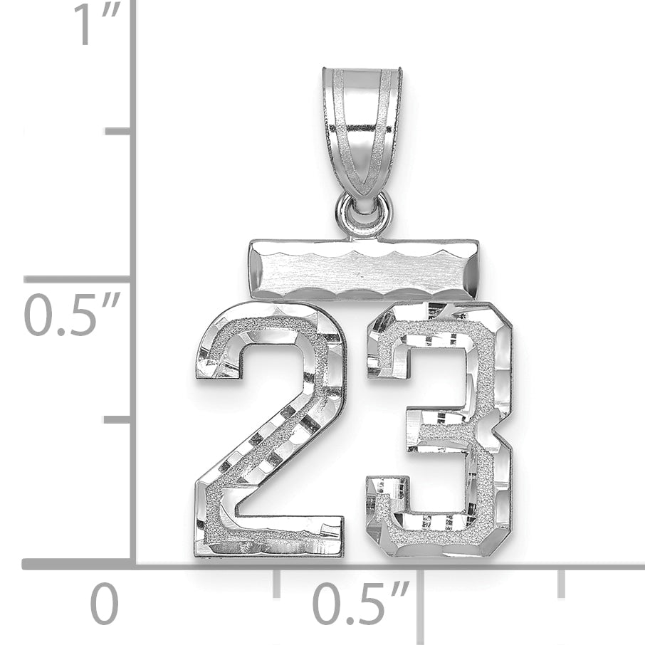 WSN23