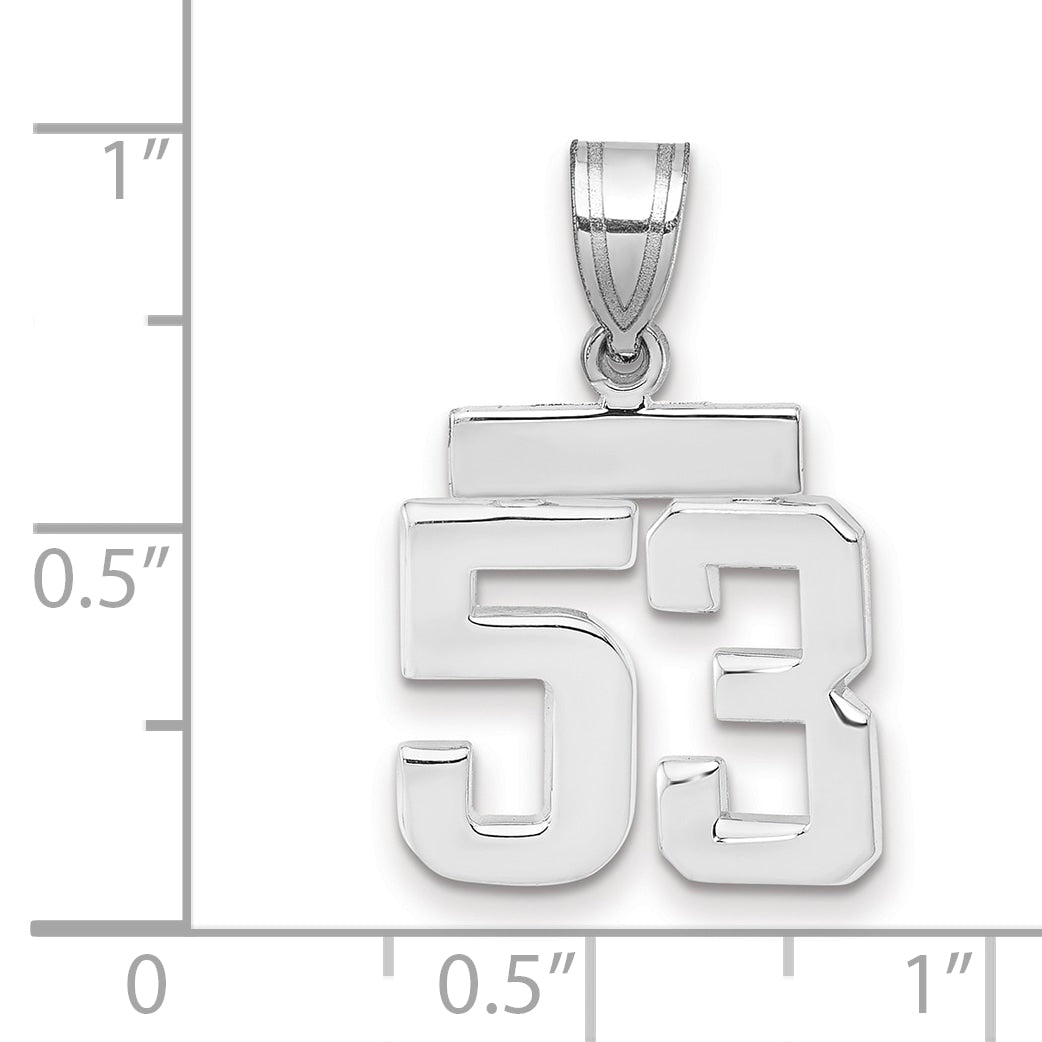 WSP53
