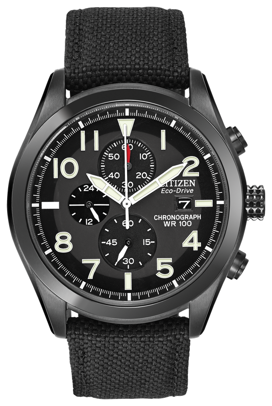 CA0255-01E Citizen Watch