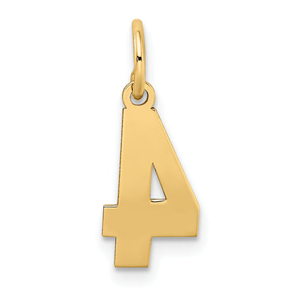 10LSS04