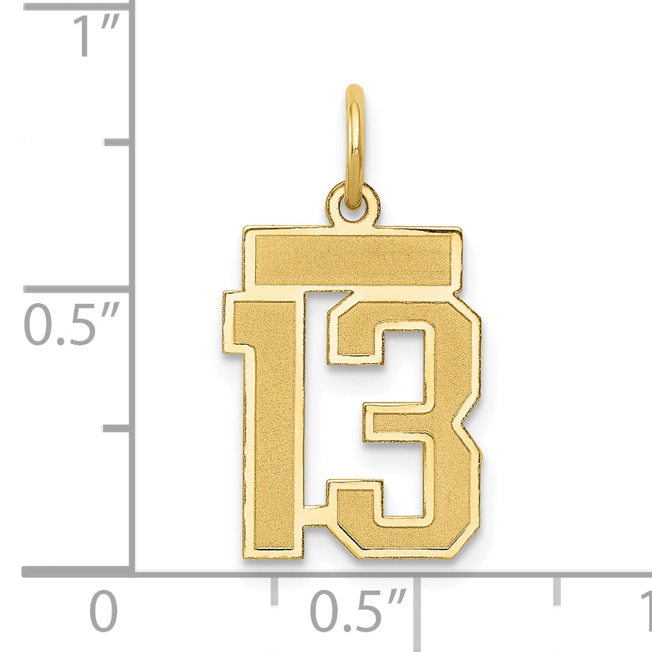 10LSS13