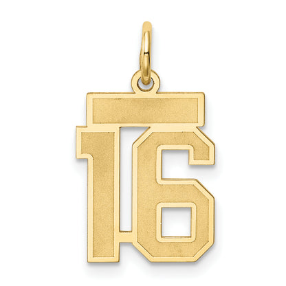 10LSS16