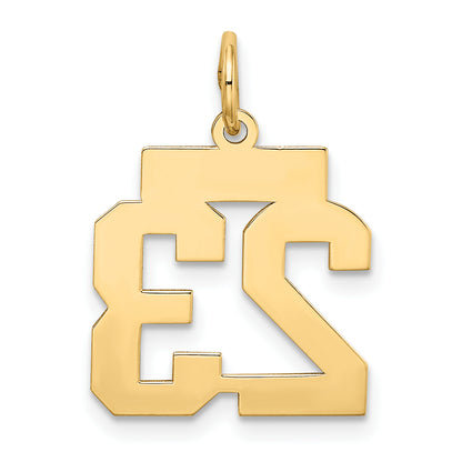 10LSS23