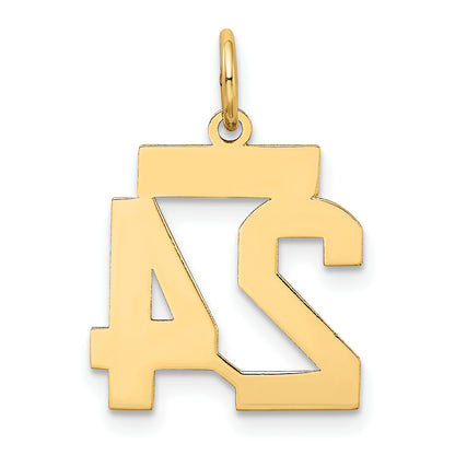 10LSS24