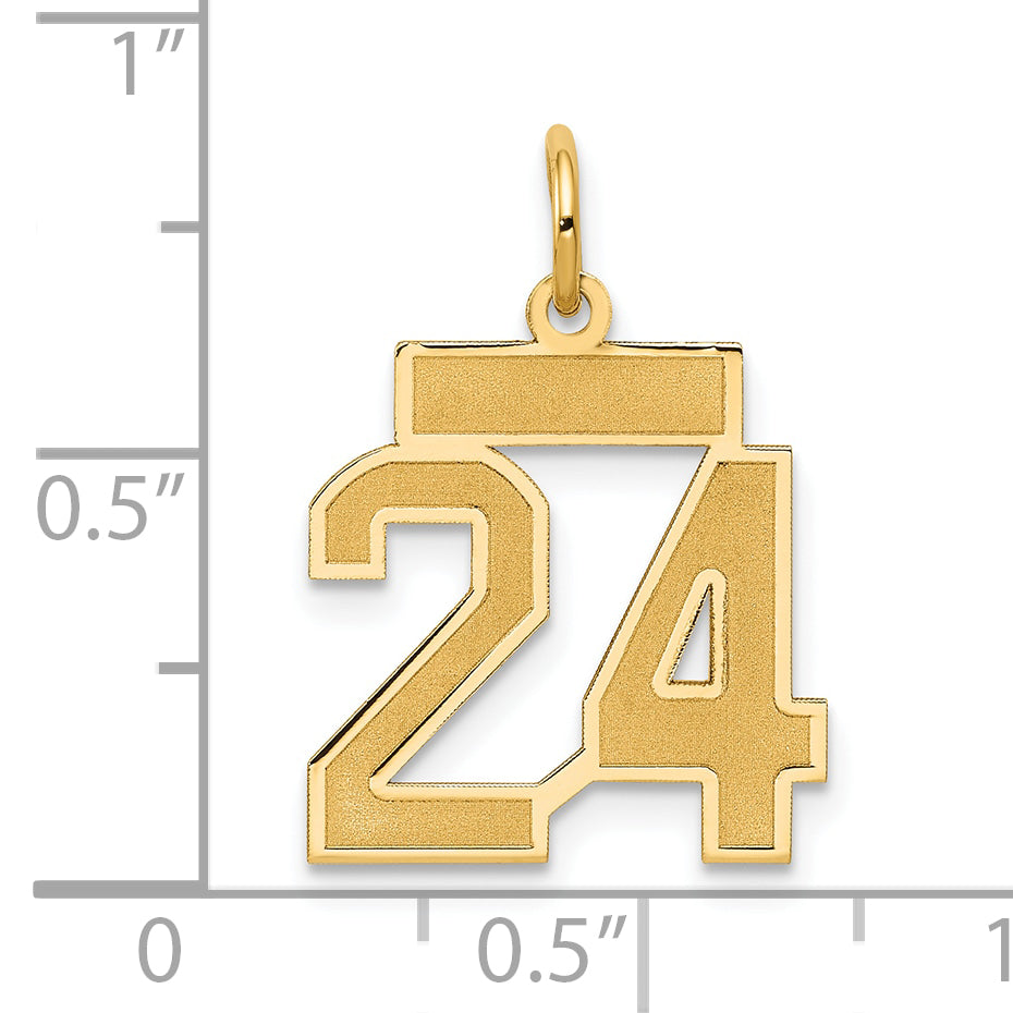 10LSS24