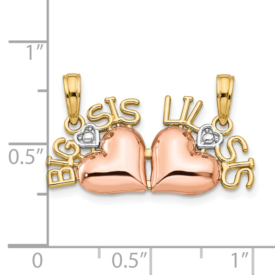 10M2698