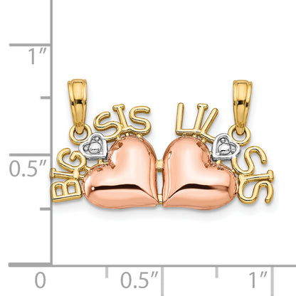 10M2698
