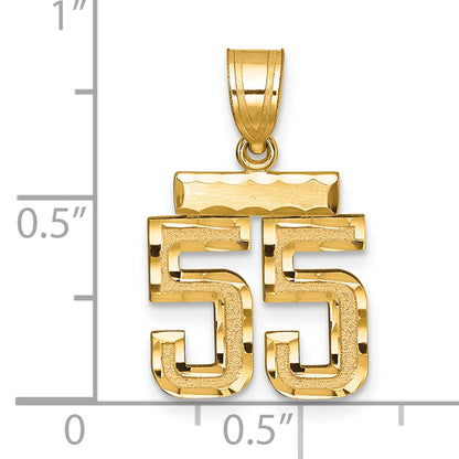 10SN55