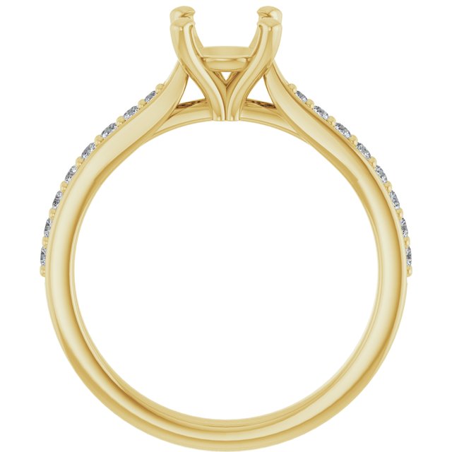 126655:6005:P