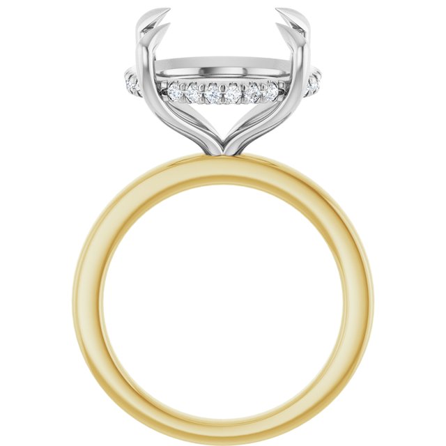 127098:6094:P