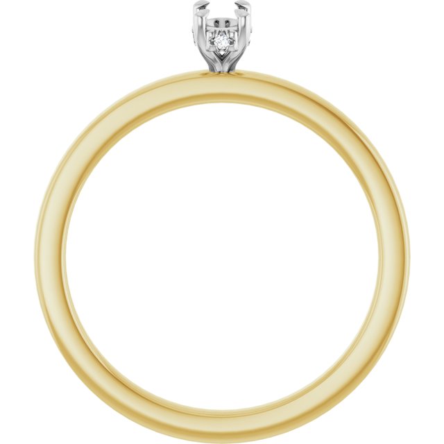 127098:6556:P