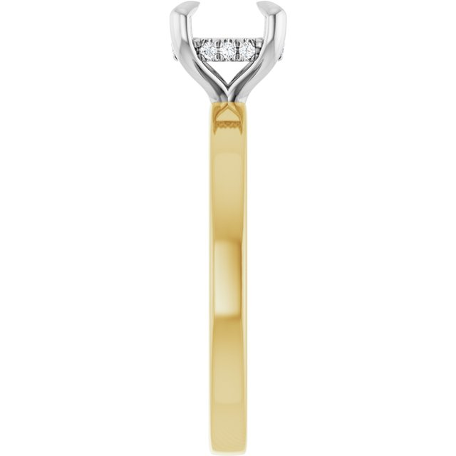 127098:6441:P