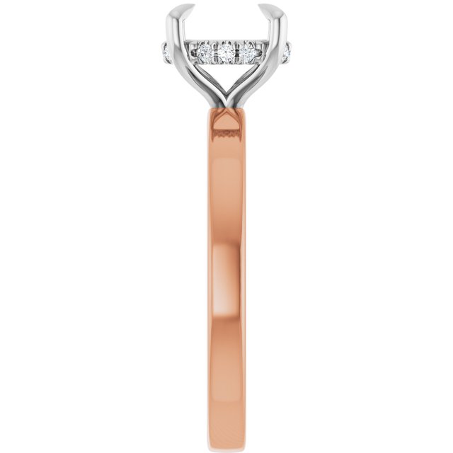 127098:6306:P