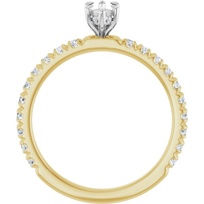 127096:LG6699:P