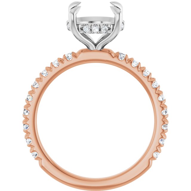 127096:LG6061:P