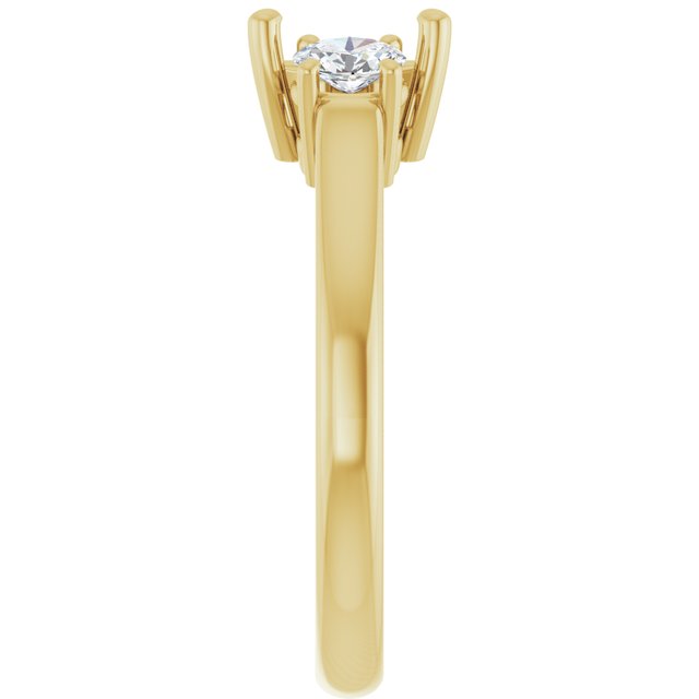 127135:LG60118:P
