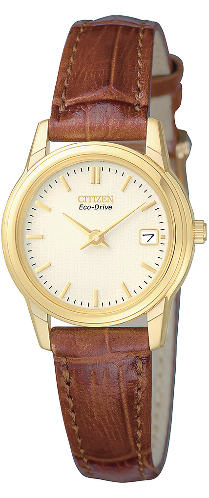 GA1002-02P Citizen Watch