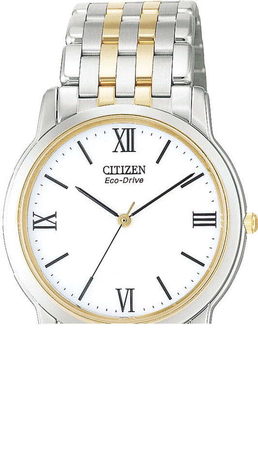 AR0014-52A Citizen Watch