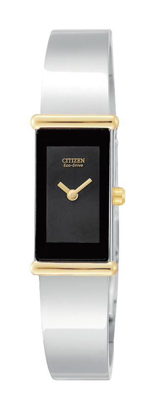 EG2454-52E Citizen Watch