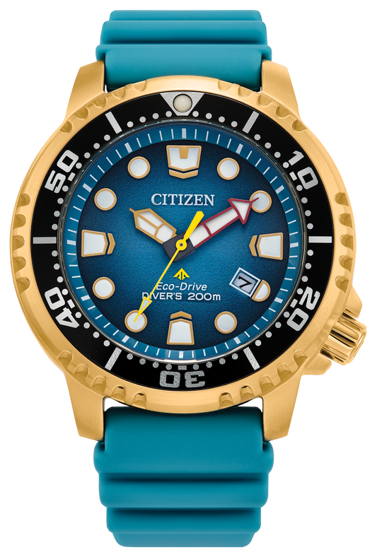 BN0162-02X Citizen Watch