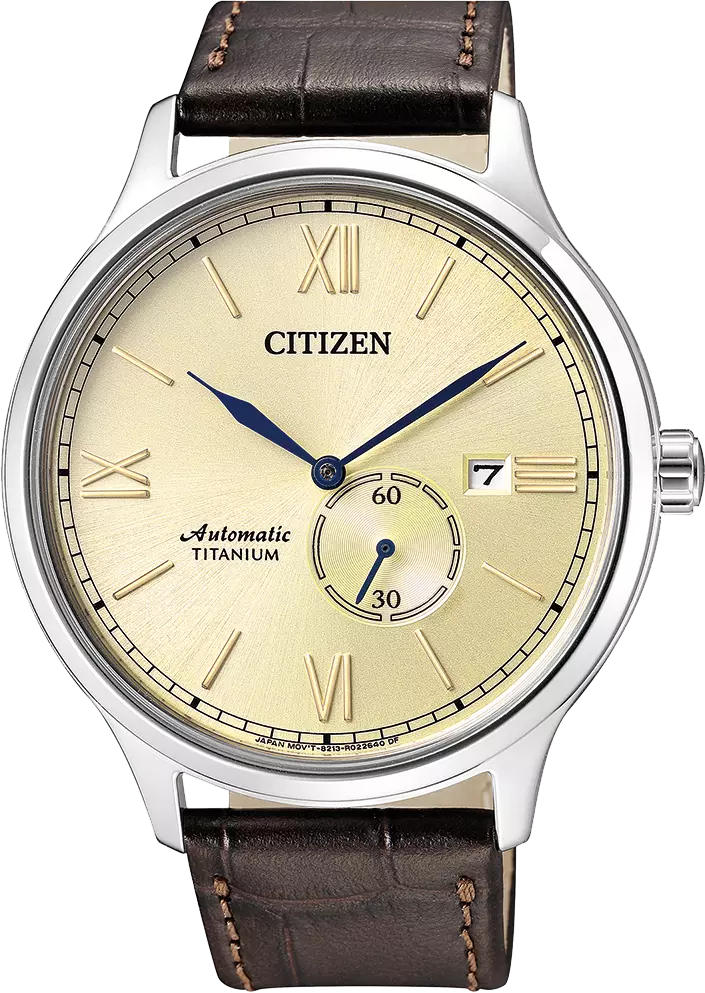 NJ0090-13P Citizen Watch