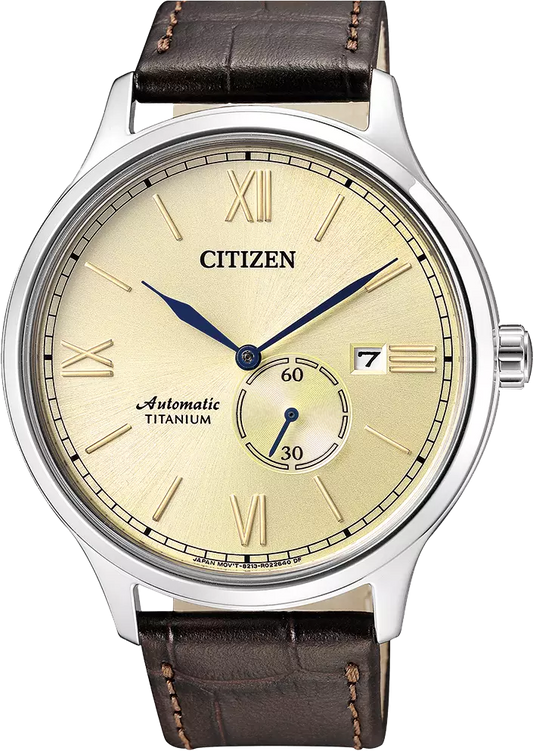 NJ0090-13P Citizen Watch