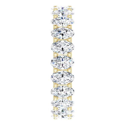 123191:60261:P