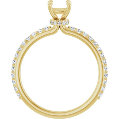 123305:6020:P