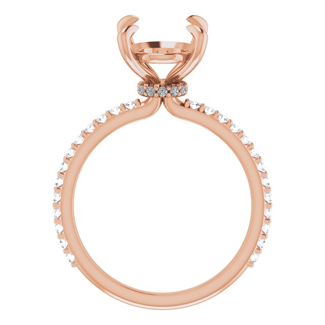 123305:LG60028:P