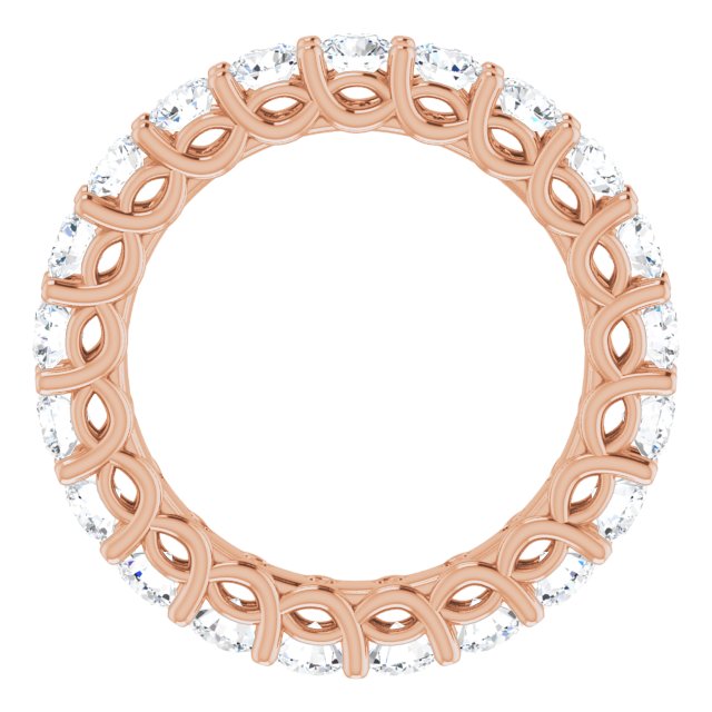 123593:LG10370:P