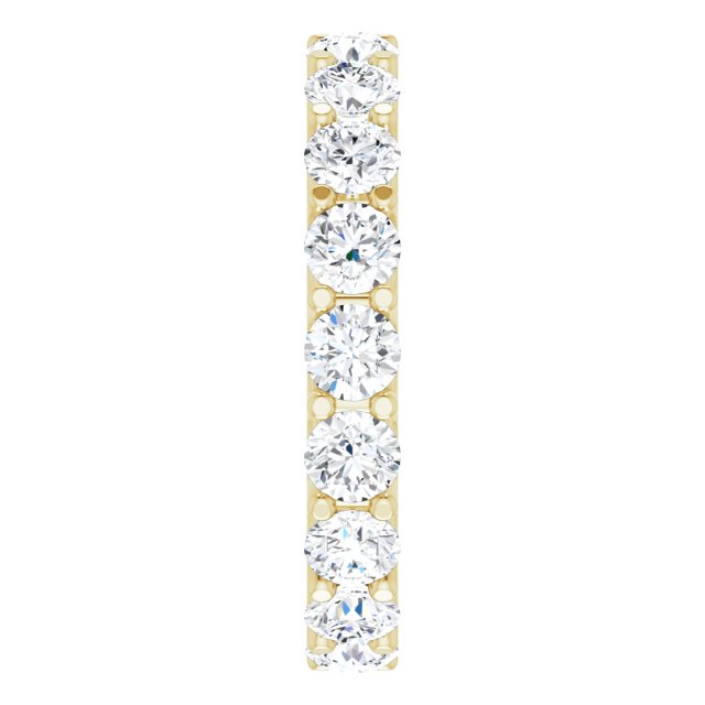 123593:LG10565:P