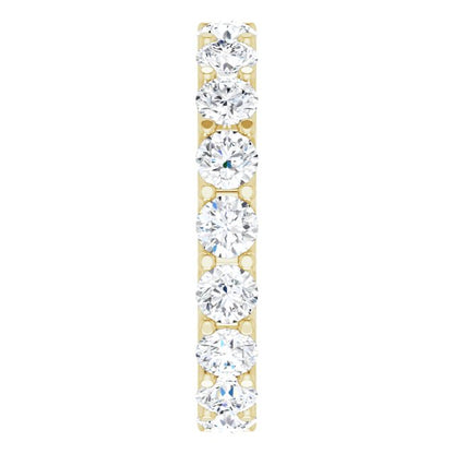 123593:LG10565:P