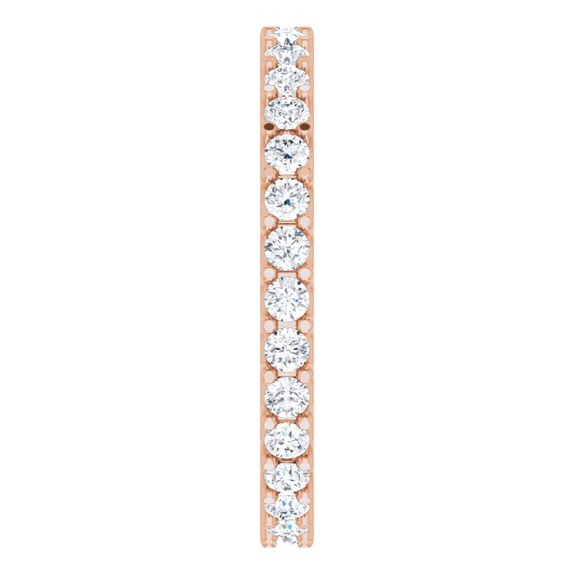123593:LG10675:P