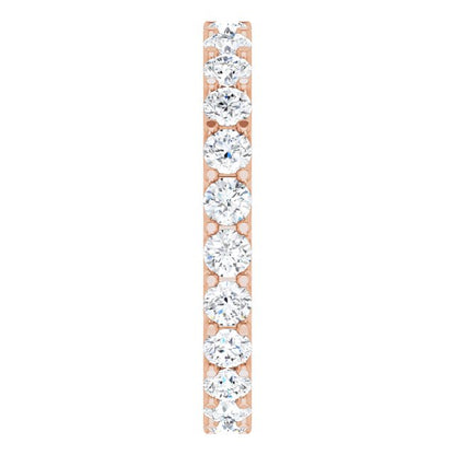 123593:LG60088:P