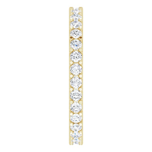 123593:LG10681:P