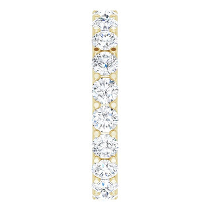 123593:LG10593:P