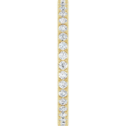 123593:LG60014:P