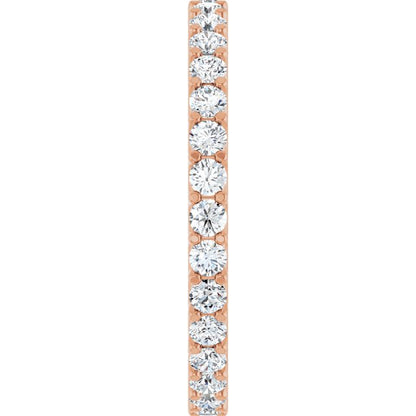 123593:LG60020:P