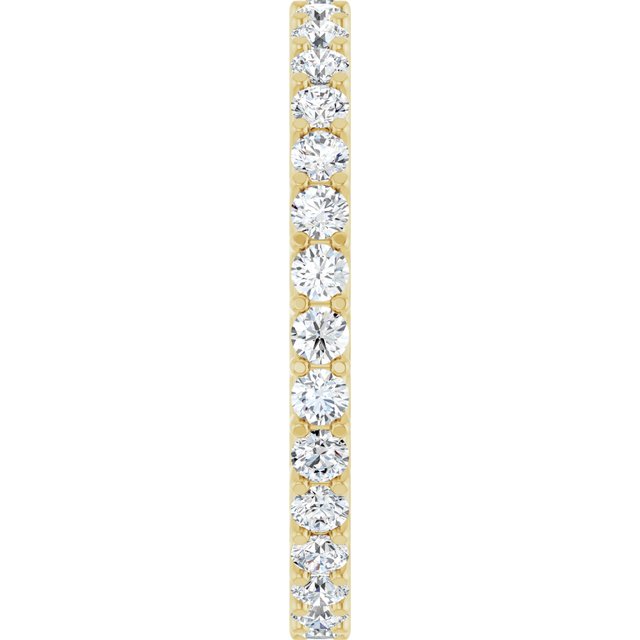 123593:LG60022:P