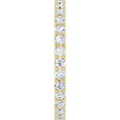 123593:LG60022:P