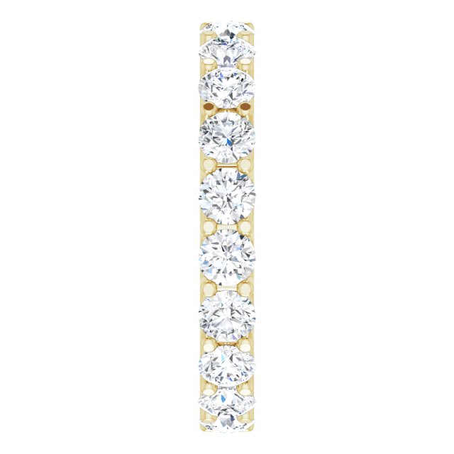 123593:LG10597:P