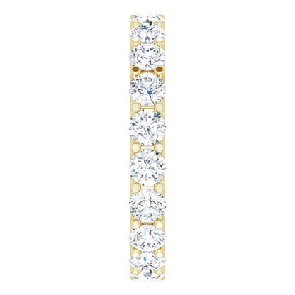 123593:LG10597:P