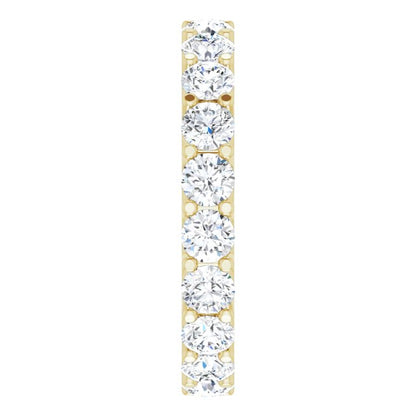 123593:LG10661:P