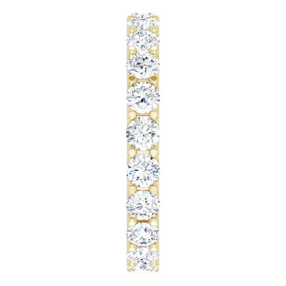123593:LG10541:P