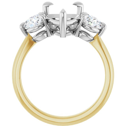 123886:6204:P