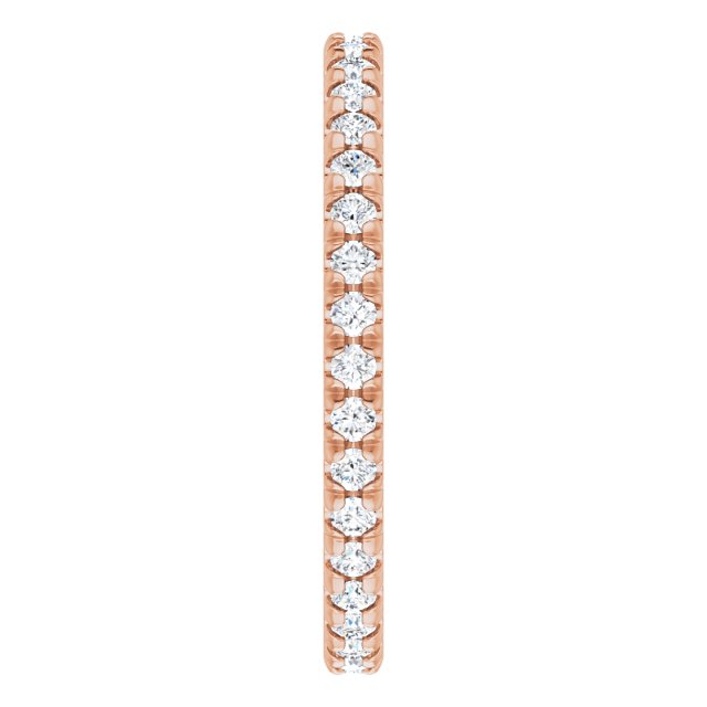 123225:60204:P
