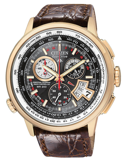 BY0003-07E Citizen Watch